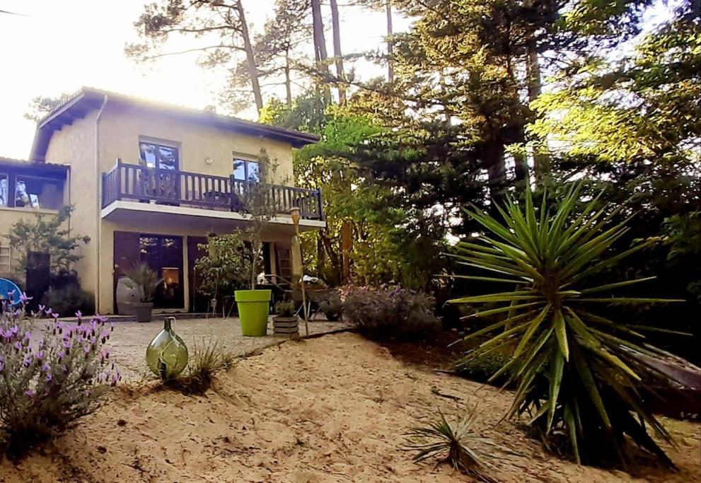 Vila Mon Petit Coin Sous Les Pins La Teste-de-Buch Exteriér fotografie